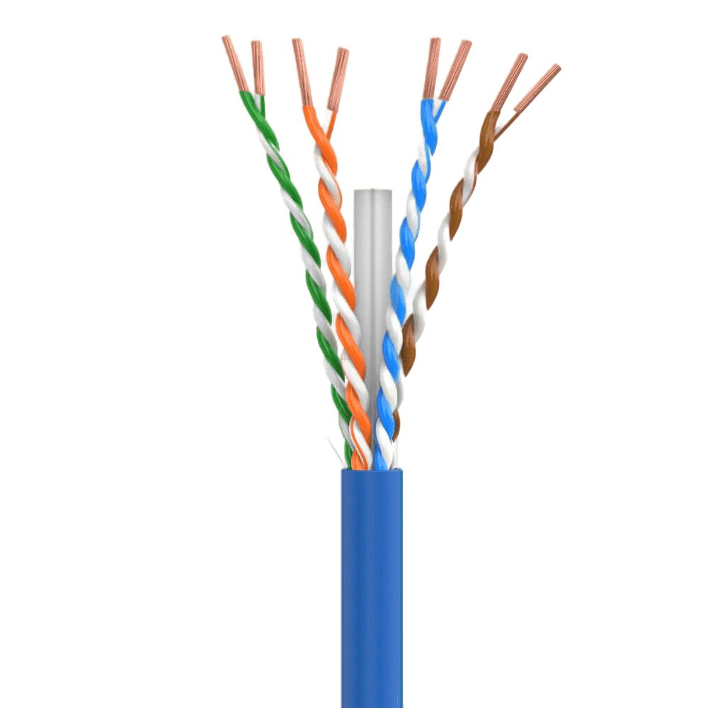 Cat6p